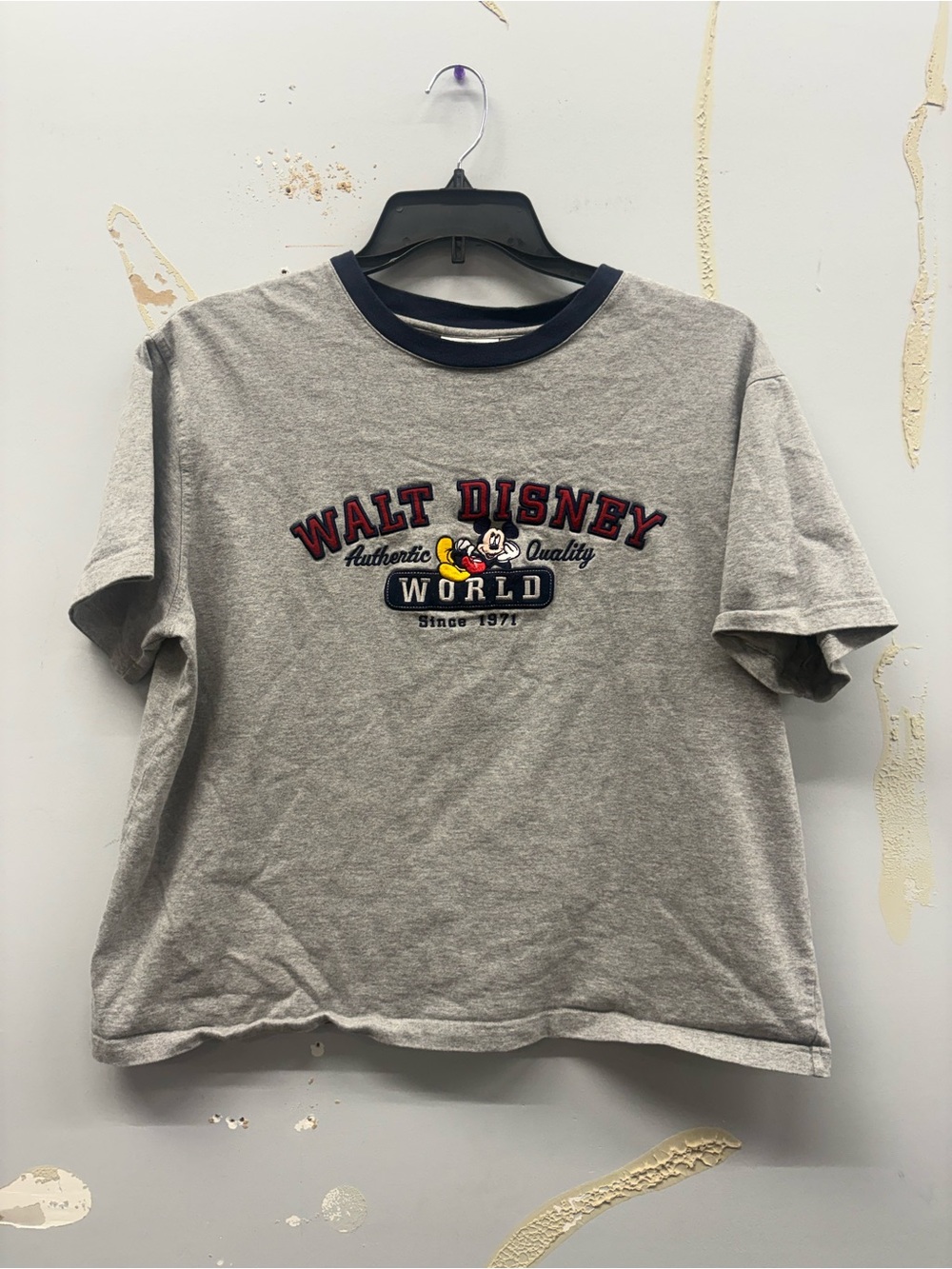 Disney Gray Short Sleeve Walt Disney World Graphic Tee with Navy Collar